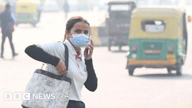 8afc3d17 2c69 4fbd aab8 e2dc5c888aa1 file.jpg