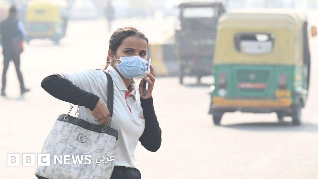 8afc3d17 2c69 4fbd aab8 e2dc5c888aa1 file.jpg