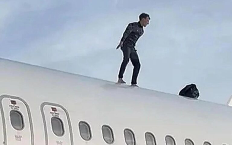 8d2d0493 d282 4855 b760 41cf237a2cb0 file.jpg