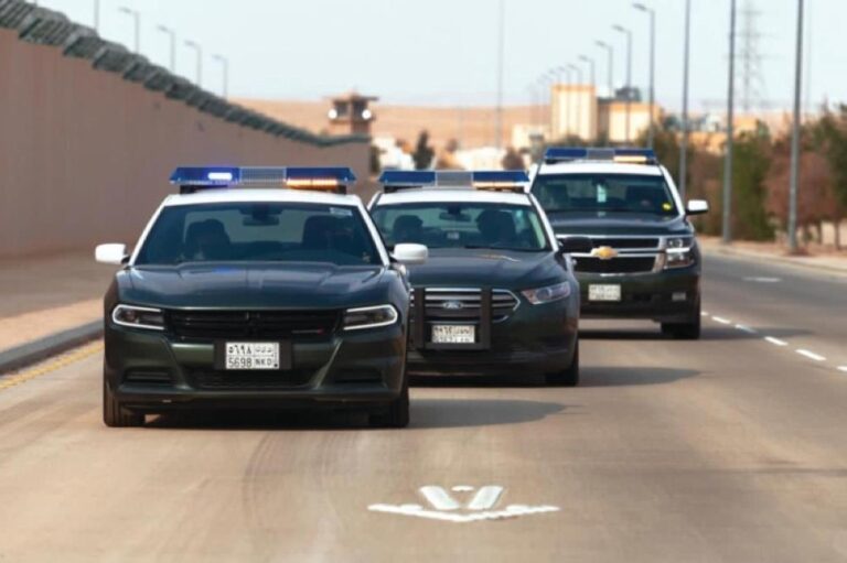 91eb0732 18f5 47bf b510 59143e76e169 file.jpg