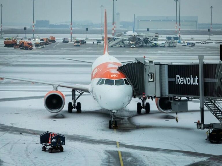 95feee77 159a 47dc 802e f4ec03408306 file.jpg