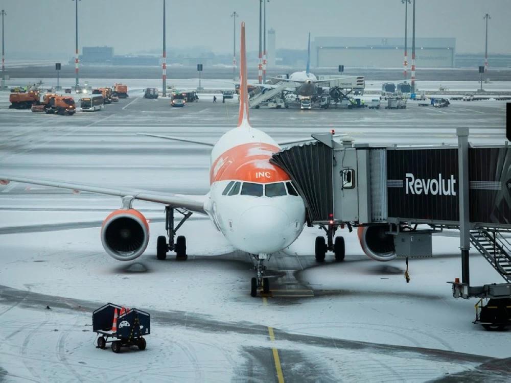 95feee77 159a 47dc 802e f4ec03408306 file.jpg