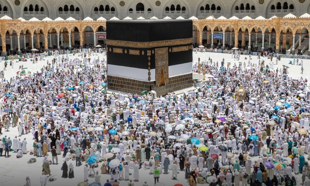 96c890eb 534a 4bcb 9704 c51ad648c09b file.jpg