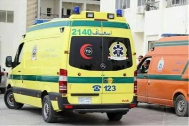 996bc305 7db4 4714 9b9f 7a53889109ff file.jpg