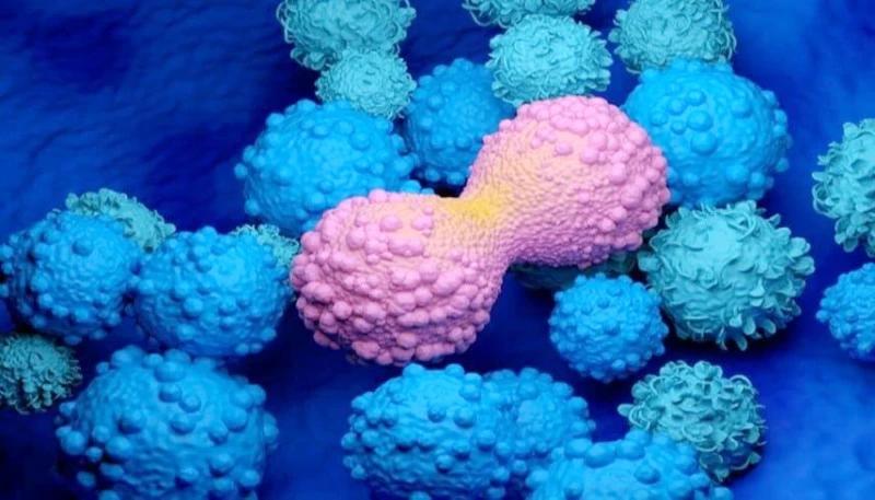 9ae63b13 880b 4f12 99c4 f57bdf8a4a7d file.jpg