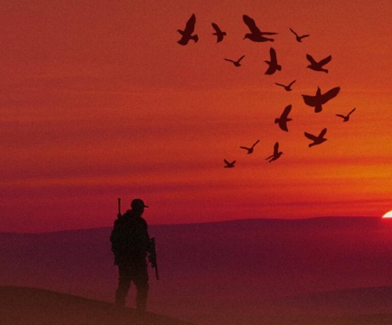 9c2dcc3b 34bd 45f8 8c01 f8b4ab970d79 file.jpg