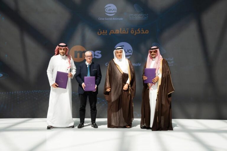 9d41b8d0 30d0 4cf9 807b 84849ac6c388 file.jpg