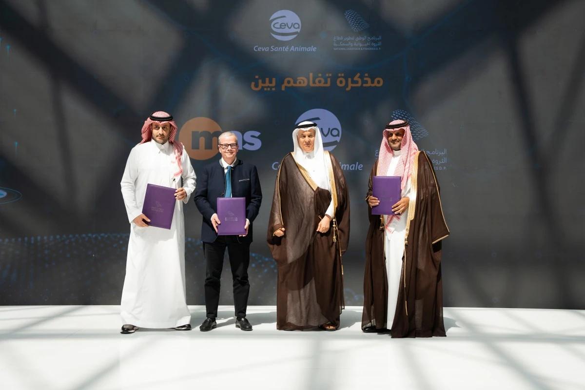 9d41b8d0 30d0 4cf9 807b 84849ac6c388 file.jpg