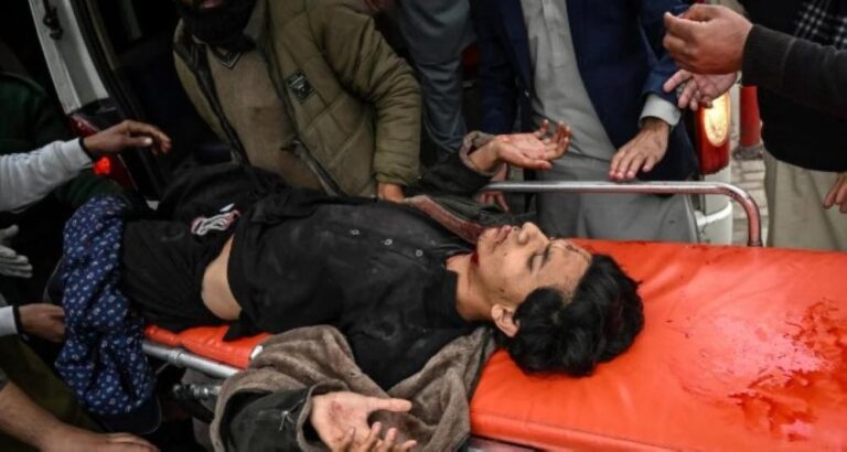 A0ee4141 8a4f 469e 9e01 b86b9b3e4d8a file.jpg