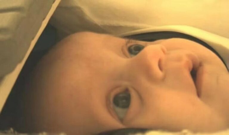 A1189840 728e 4059 a587 5277869d60ef file.jpg