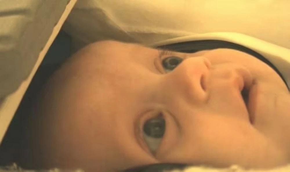 A1189840 728e 4059 a587 5277869d60ef file.jpg