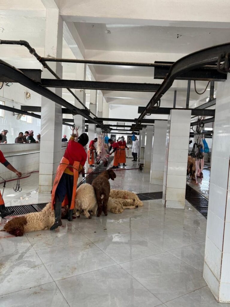 A260f7a7 12f4 48e5 9b24 260b0b0e9ad1 file.jpg