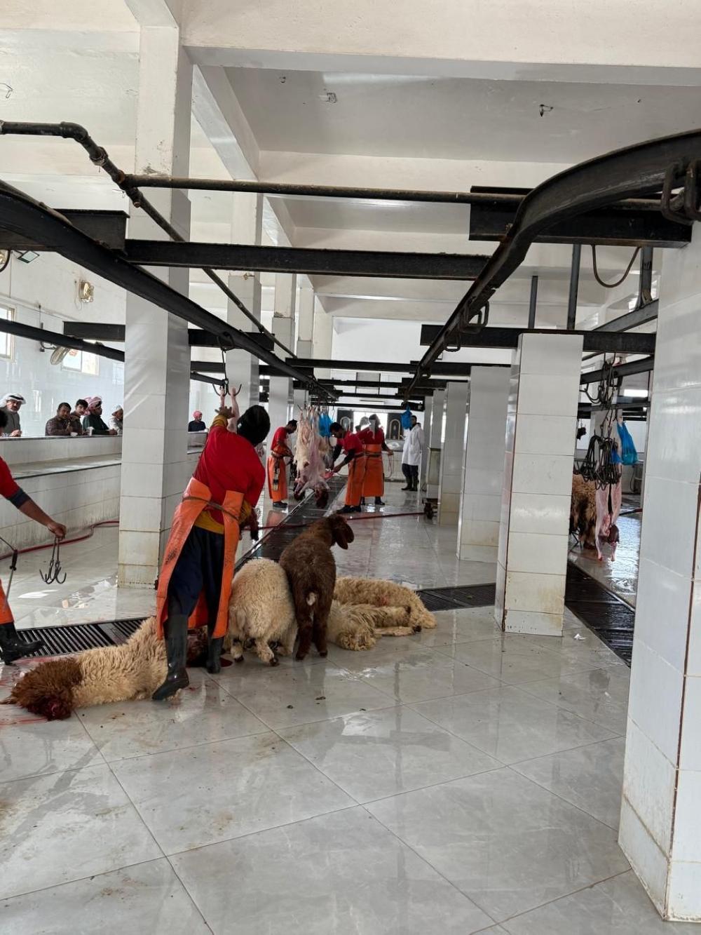 A260f7a7 12f4 48e5 9b24 260b0b0e9ad1 file.jpg