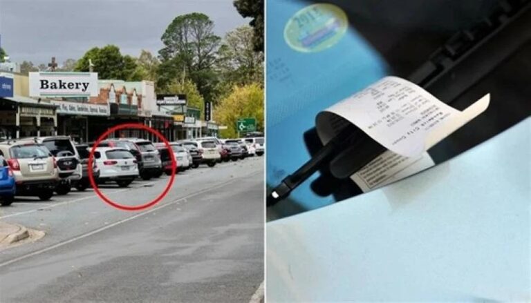 A2777dd9 c014 43c1 b091 f2bb8f7c95e9 file.jpg