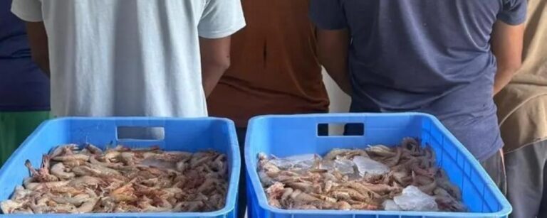 A83fb4f1 f14c 45ba a67d aef744452e1e file.jpg