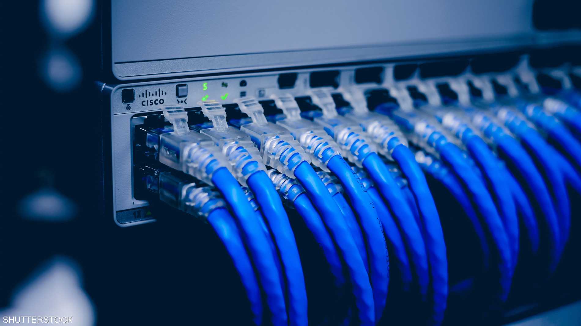 A88038b8 16bf 4504 b21b ba97688e922e file.jpeg