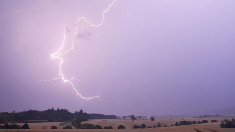 A9930a23 9be6 4d42 af1e bc171345f31c file.jpg