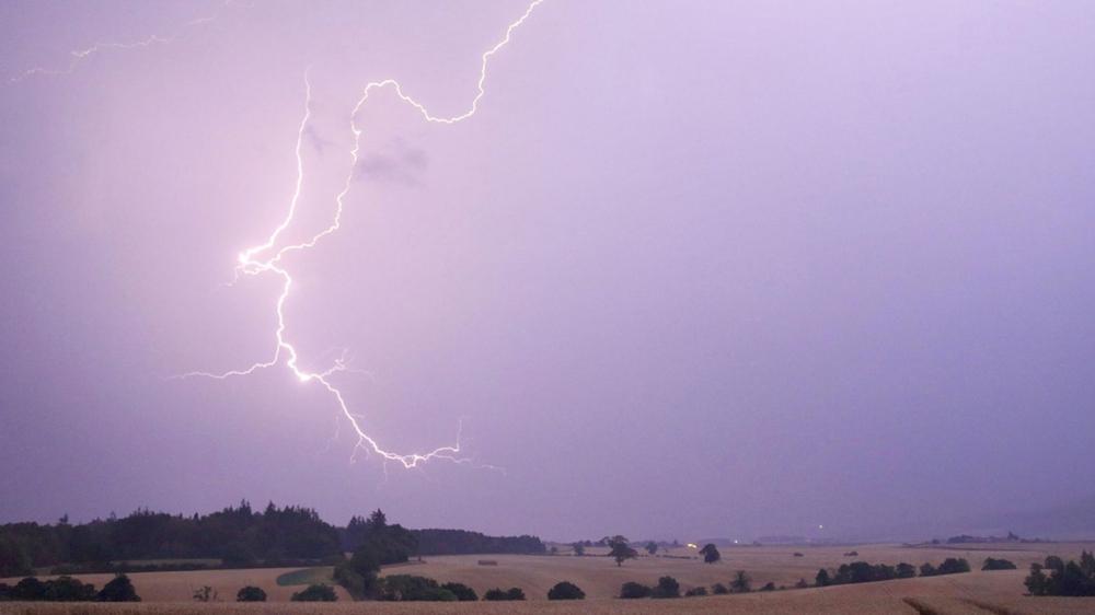 A9930a23 9be6 4d42 af1e bc171345f31c file.jpg