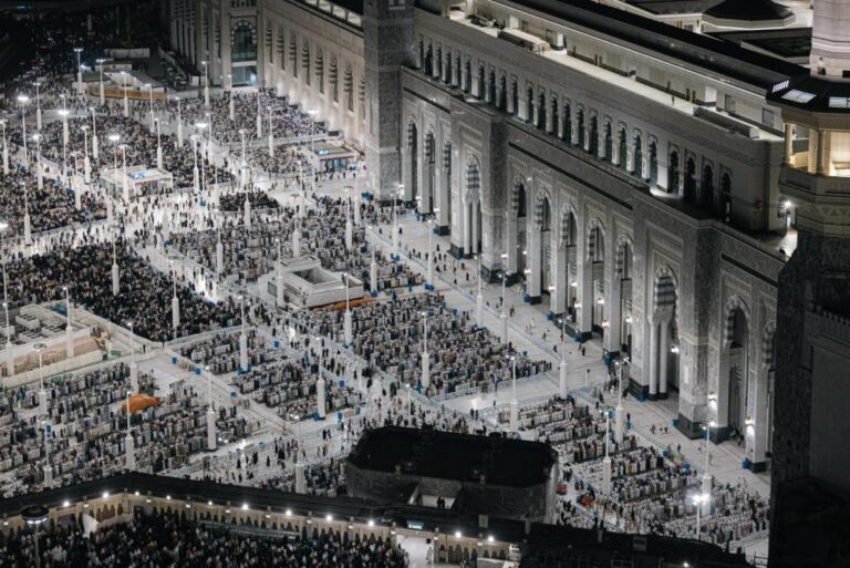 Abc89348 2641 4fcb 960b 2d9f8ace68ef file.jpg