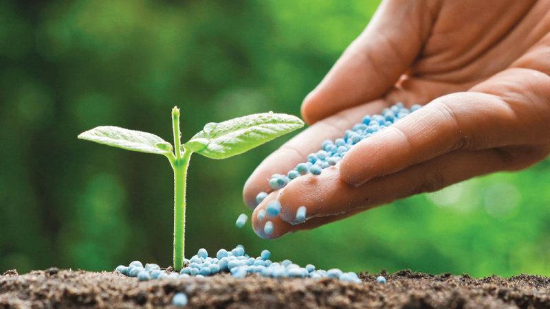 Acc836fb bb33 44eb 9065 ca4265a6f44f file.jpg