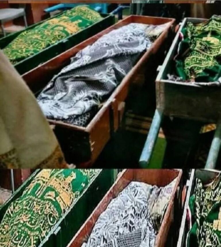 Ad6bbed3 7664 4903 af5e d2ec983b5429 file.jpg