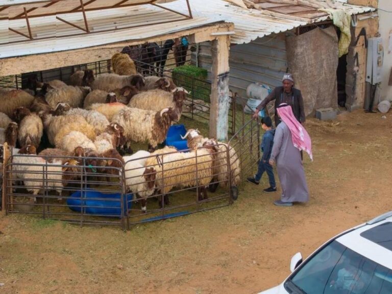 Ad7fee86 35a6 40a6 b0a1 f8248b6efd7e file.jpg