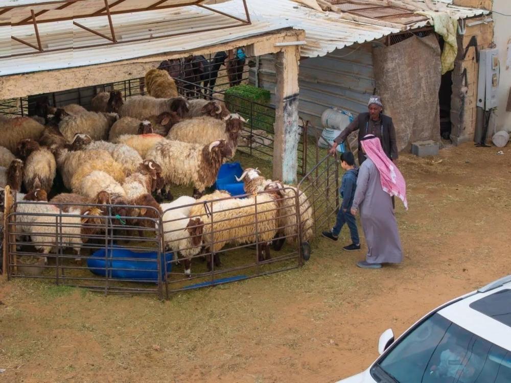 Ad7fee86 35a6 40a6 b0a1 f8248b6efd7e file.jpg