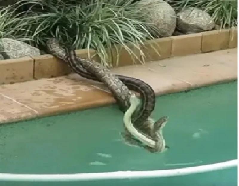 Af69a065 2fe5 41fe a4c7 077f3d132023 file.jpg