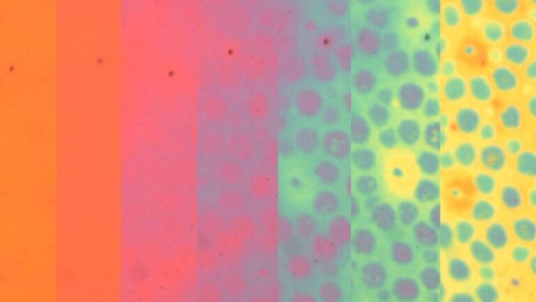 B3a776bf 6e37 4616 b20f 03a2222ceaa3 file.jpg