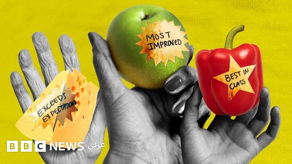 B4507c16 ede2 4549 b250 a031e9a7008c file.jpg