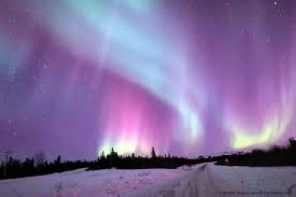 C00953a1 568a 4aca 8463 69b193a10c29 file.jpg