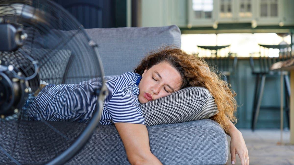 C336a236 00bf 4d34 b175 c17888b88b7b file.jpg