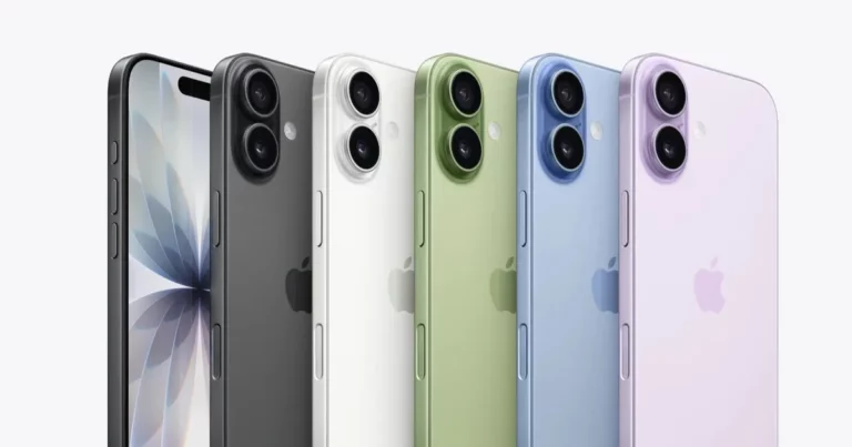 C4a1c9fd d775 49f1 9018 5480d73ce0de file.webp