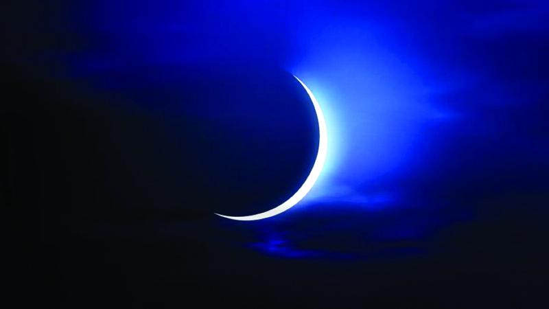 C61177d1 29f6 4708 9db3 999f749f39f1 file.jpg