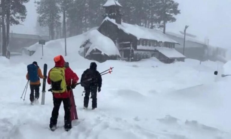 C7787f04 bb8e 472b 841e 2f3ae14e0ea2 file.jpg