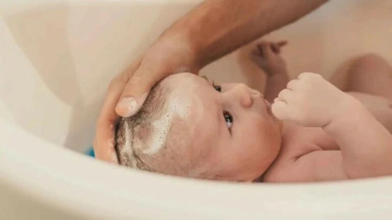 C96e5b6a ce3c 4e31 a390 8d931ed8b938 file.jpg