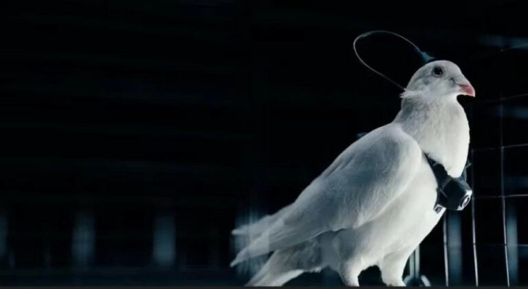 Cd06af4f 43eb 4ce4 a1c6 14afa628d569 file.jpg