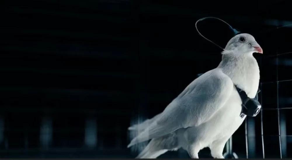 Cd06af4f 43eb 4ce4 a1c6 14afa628d569 file.jpg