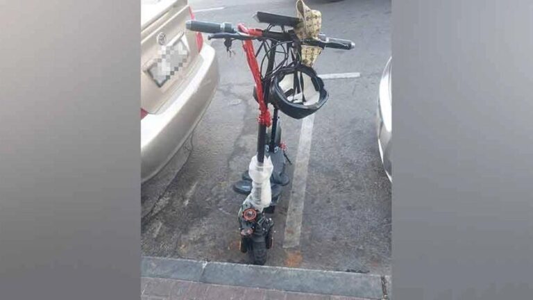 Cd2bd5d4 8cbb 475f 961c 3d1ed7119a8b file.jpg