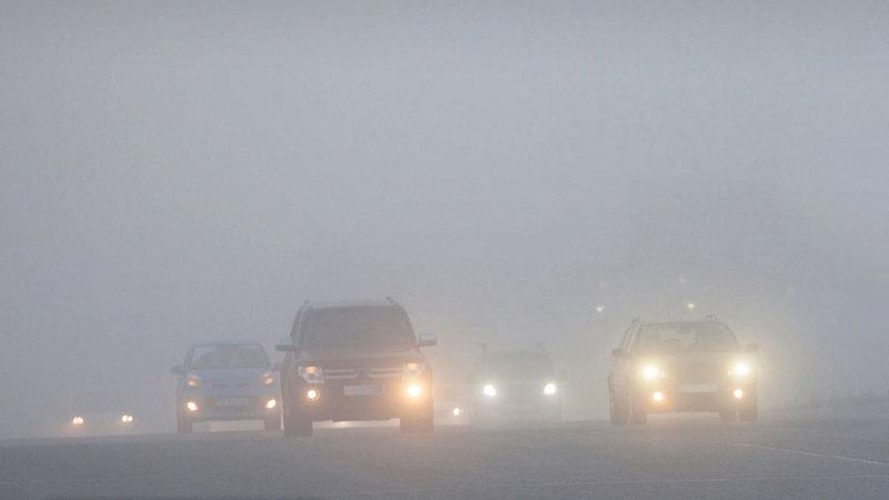 D2054743 f9f0 4a58 b41f a089244f8593 file.jpg