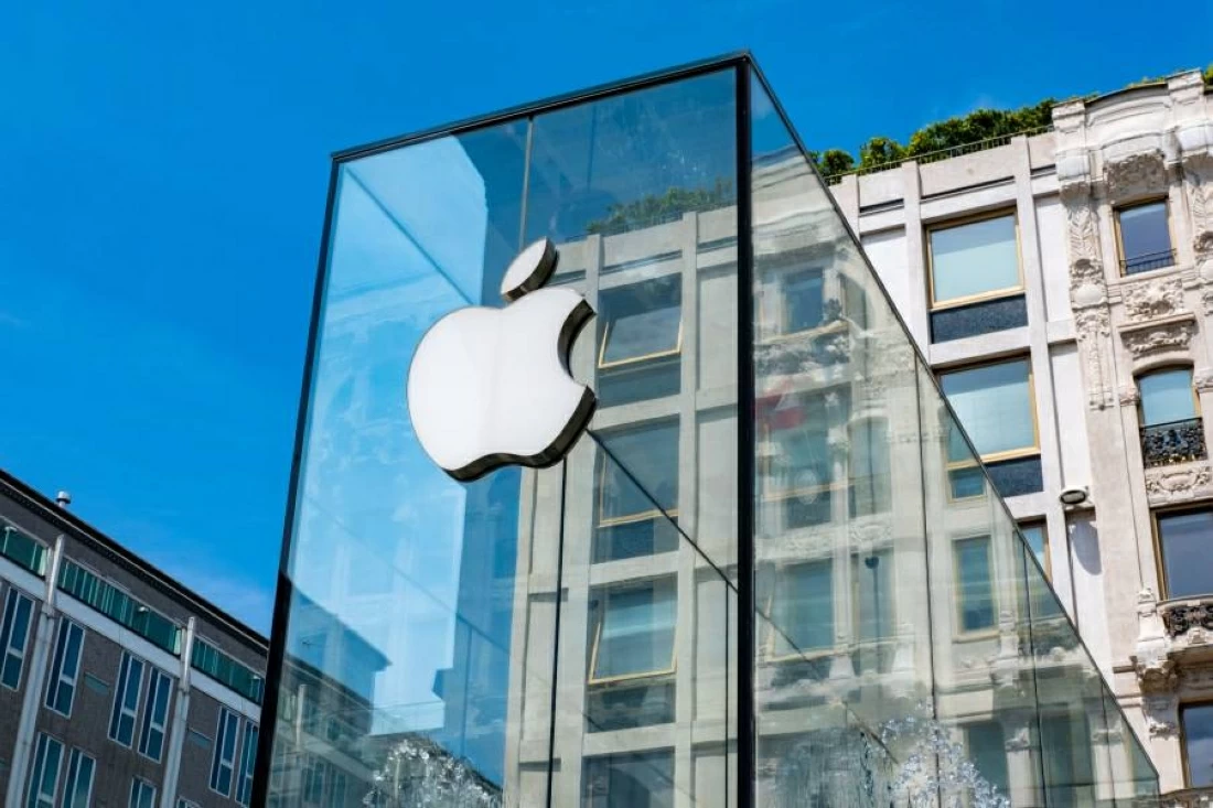 D26501a5 4ea3 4482 b76a 60bfca3284aa file.webp