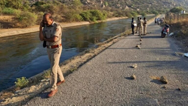 D50d5a41 5648 4769 9b14 633ec4f96ceb file.jpg