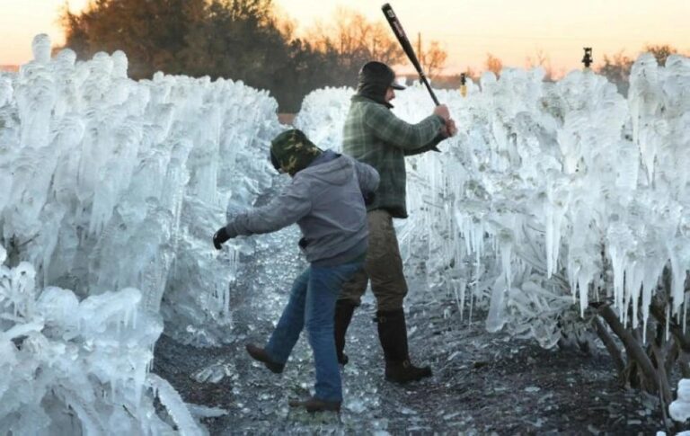 D85bb686 515b 4436 a576 24c079b959e9 file.jpg