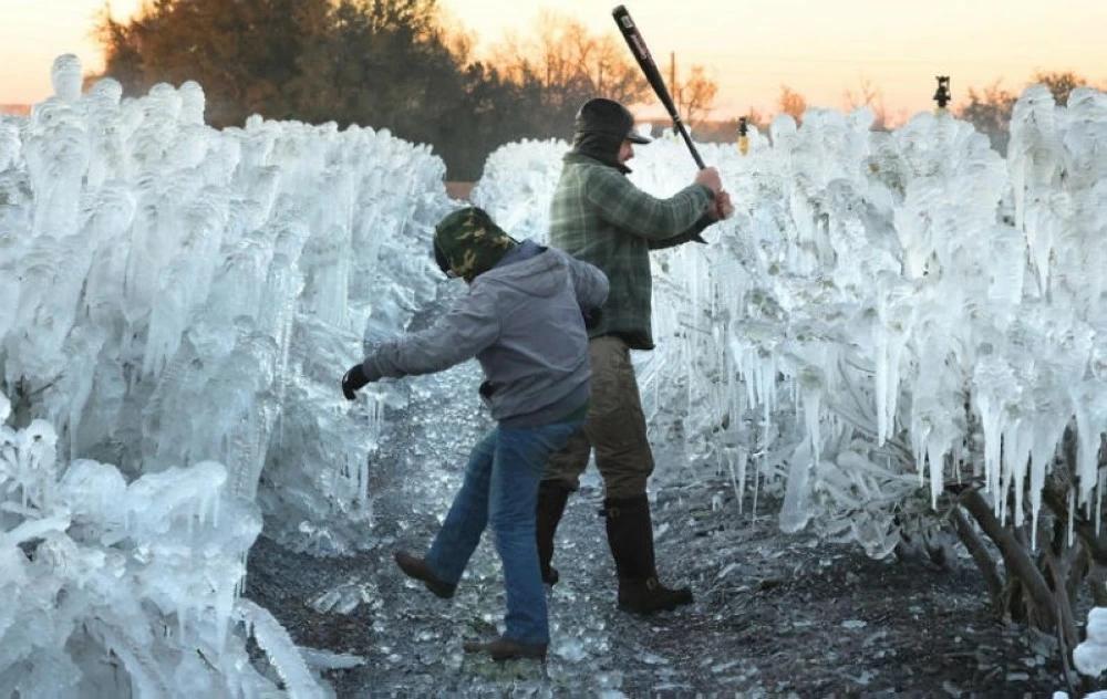 D85bb686 515b 4436 a576 24c079b959e9 file.jpg