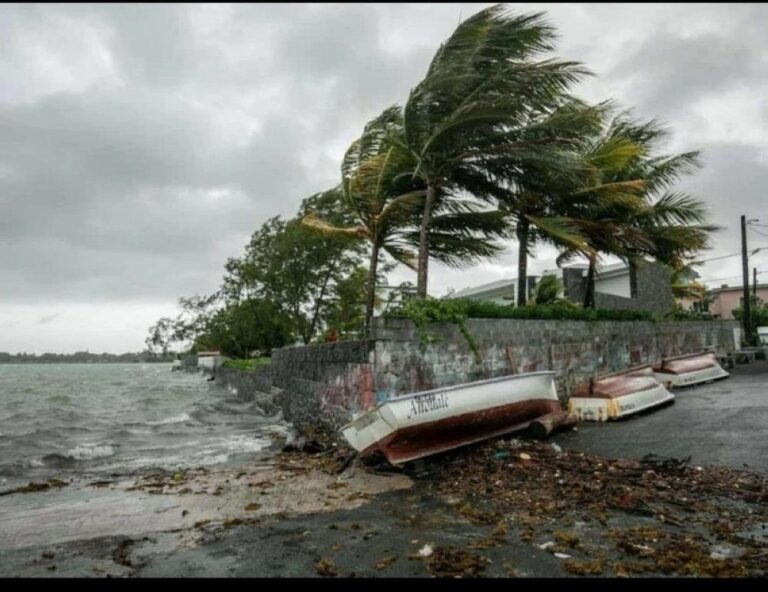 D8a48616 0608 4fe0 ba3d 7efbfe6ce937 file.jpg