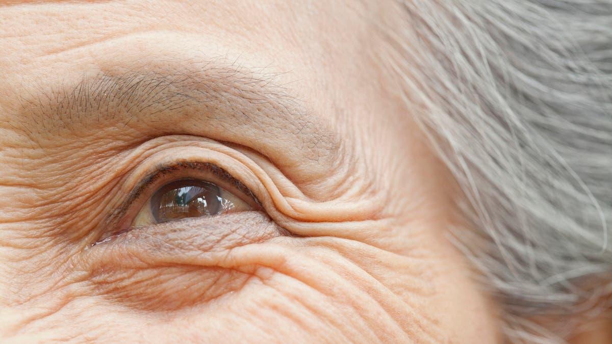 Dce4908f 4ba0 4050 9969 c944abe68485 file.jpg