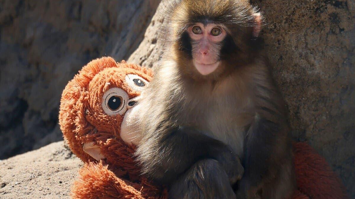 E0072145 8739 4fbc 9e94 0c42dd0781e4 file.jpg