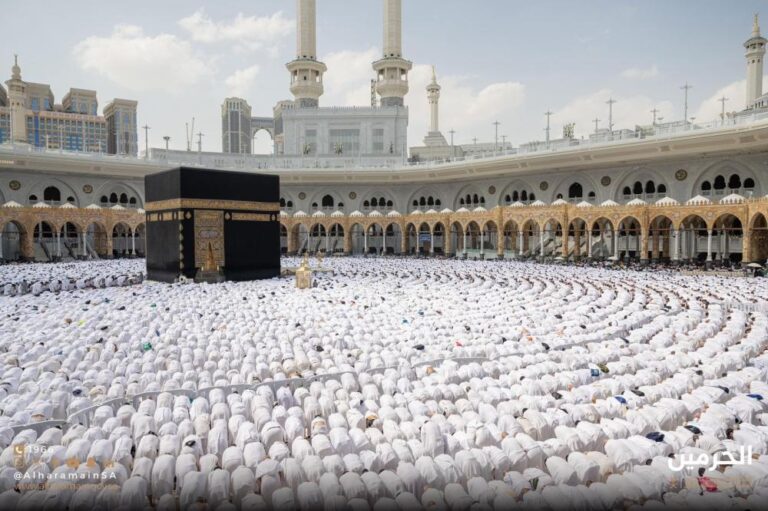 E243de01 ca63 4518 b019 dbb29ff668e6 file.jpg