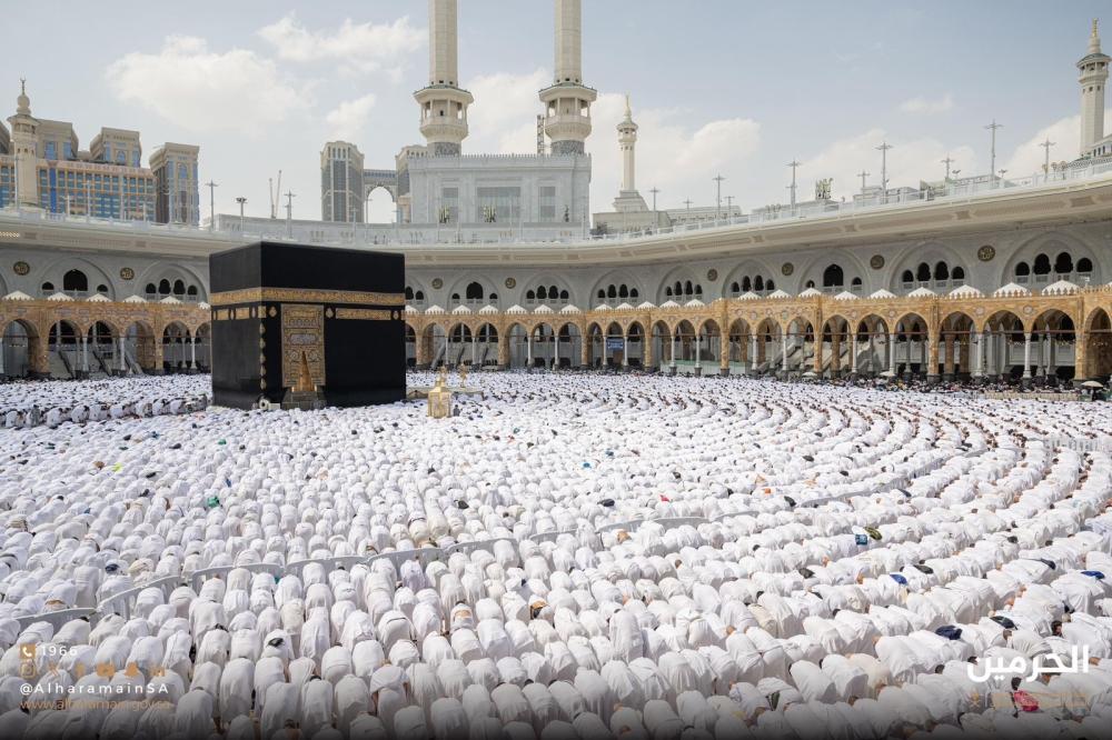 E243de01 ca63 4518 b019 dbb29ff668e6 file.jpg