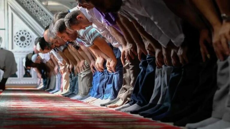 E6a4ddd2 9551 43ff 8ce3 d36444d9fcdb file.jpg